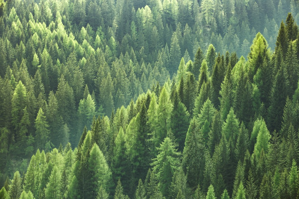 AdobeStock_113620606-960x640