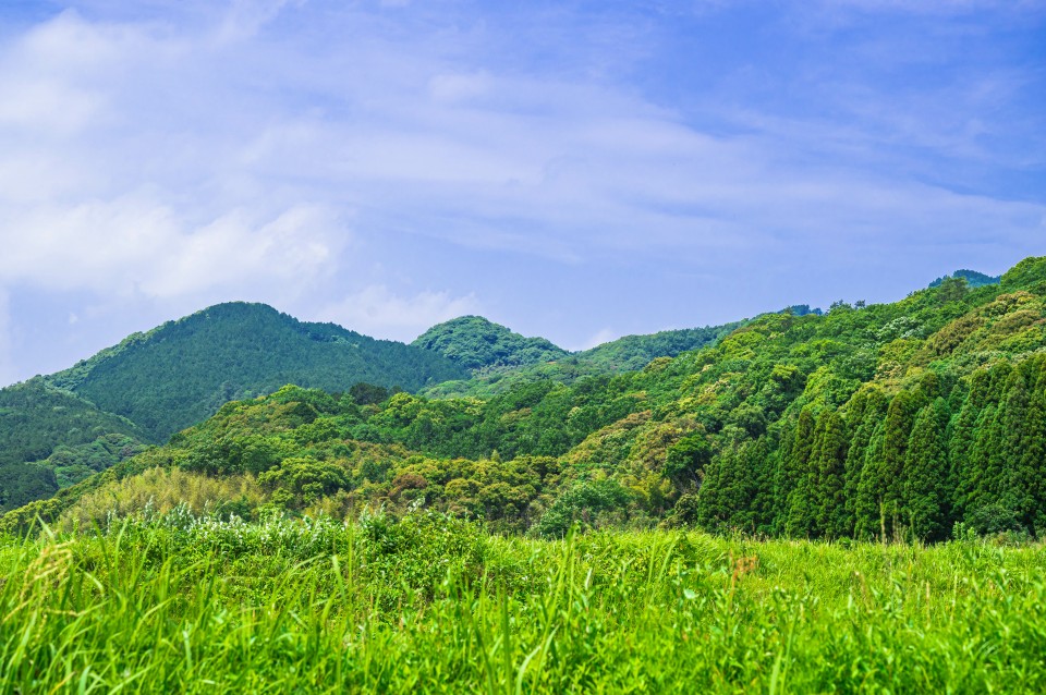 AdobeStock_436219401-960x638